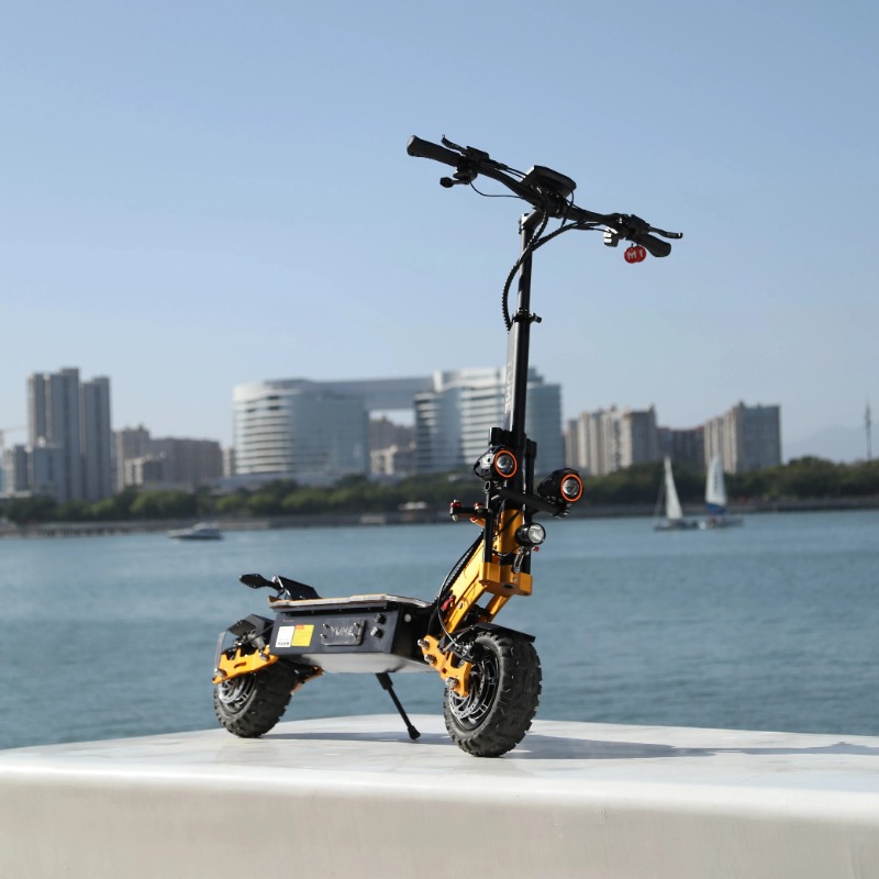 Самый продаваемый электрически – обзор и цена 60V 5600W Dual Motor Electric Scooter